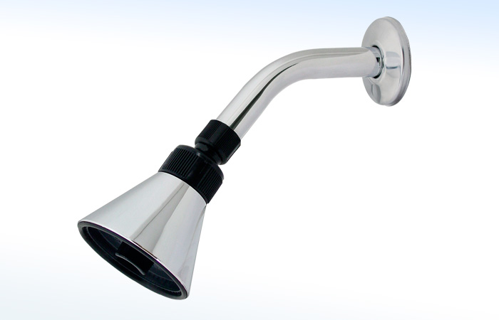 44S RUGO - REGADERA DE 3 1/8”Ø CON BRAZO Y CHAPETÓN